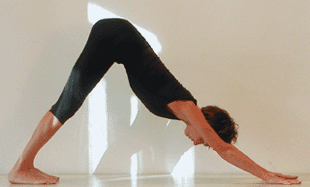 adhomukha svanasana