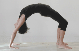 urdhva dhanurasana