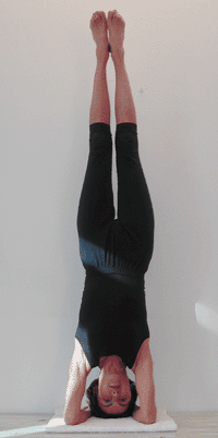 sirsasana