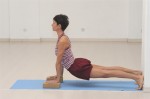 URDVA Muka Svanasana- Cane-testa-SU (piedi al muro)